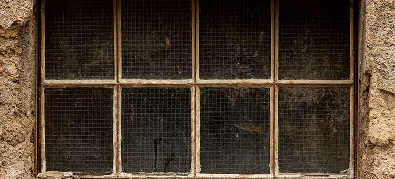 Traditional Double Front Doors in Orlando, FL
