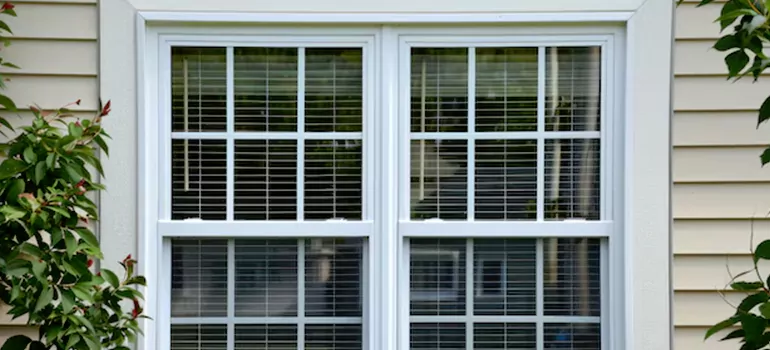 Custom Double Hung Windows in Orlando, FL