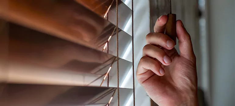 Double Roller Blinds in Orlando, FL