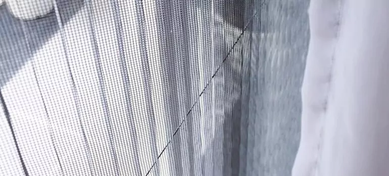 Fixing Screen Window Mesh in Orlando, FL