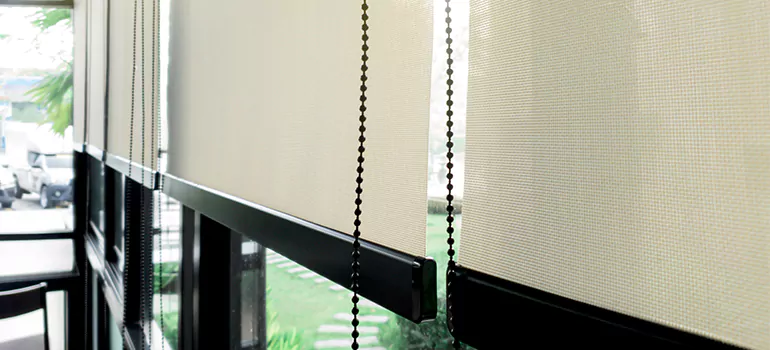 Blackout Window Shades in Orlando, FL