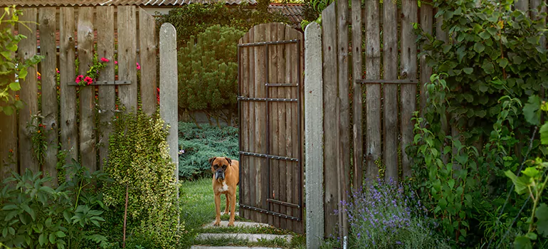 Winter Garden Garage Door Repair in Orlando,[location field=state]