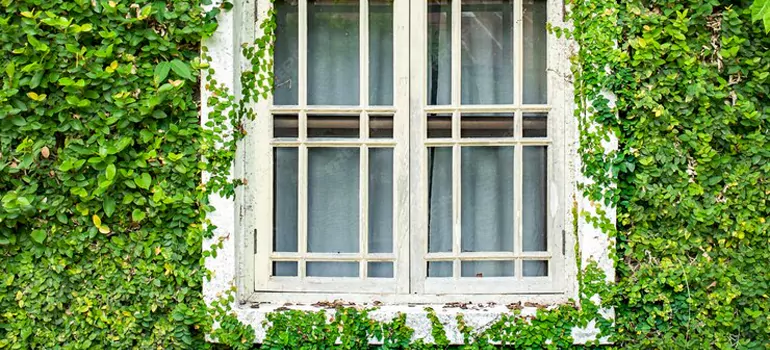 Garden Window Repair Near Me in Orlando, FL