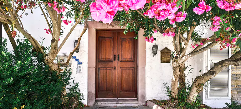 Traditional 4 Panel Internal Doors in Orlando, FL