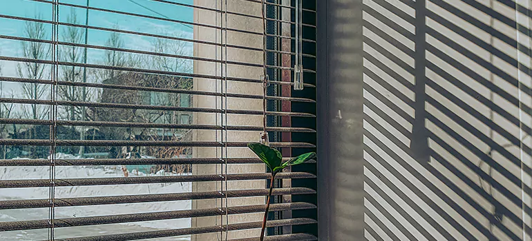 Commercial Window Blinds in Orlando, FL