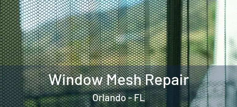 Window Mesh Repair Orlando - FL