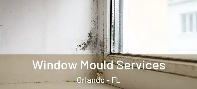 Window Mould Services Orlando - FL
